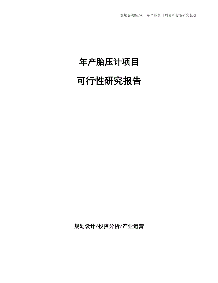 年产胎压计项目可行性研究报告_第1页