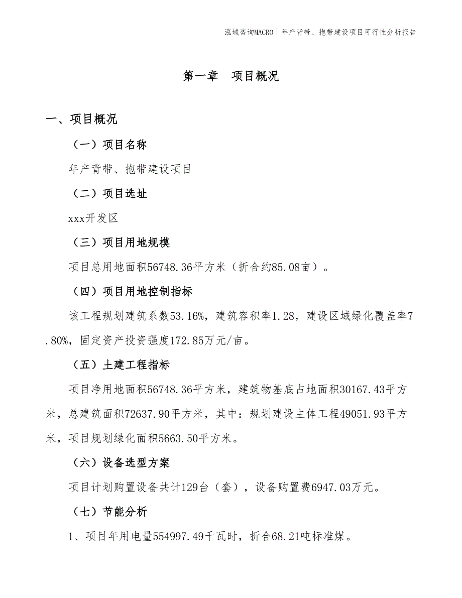 年产背带、抱带建设项目可行性分析报告_第3页