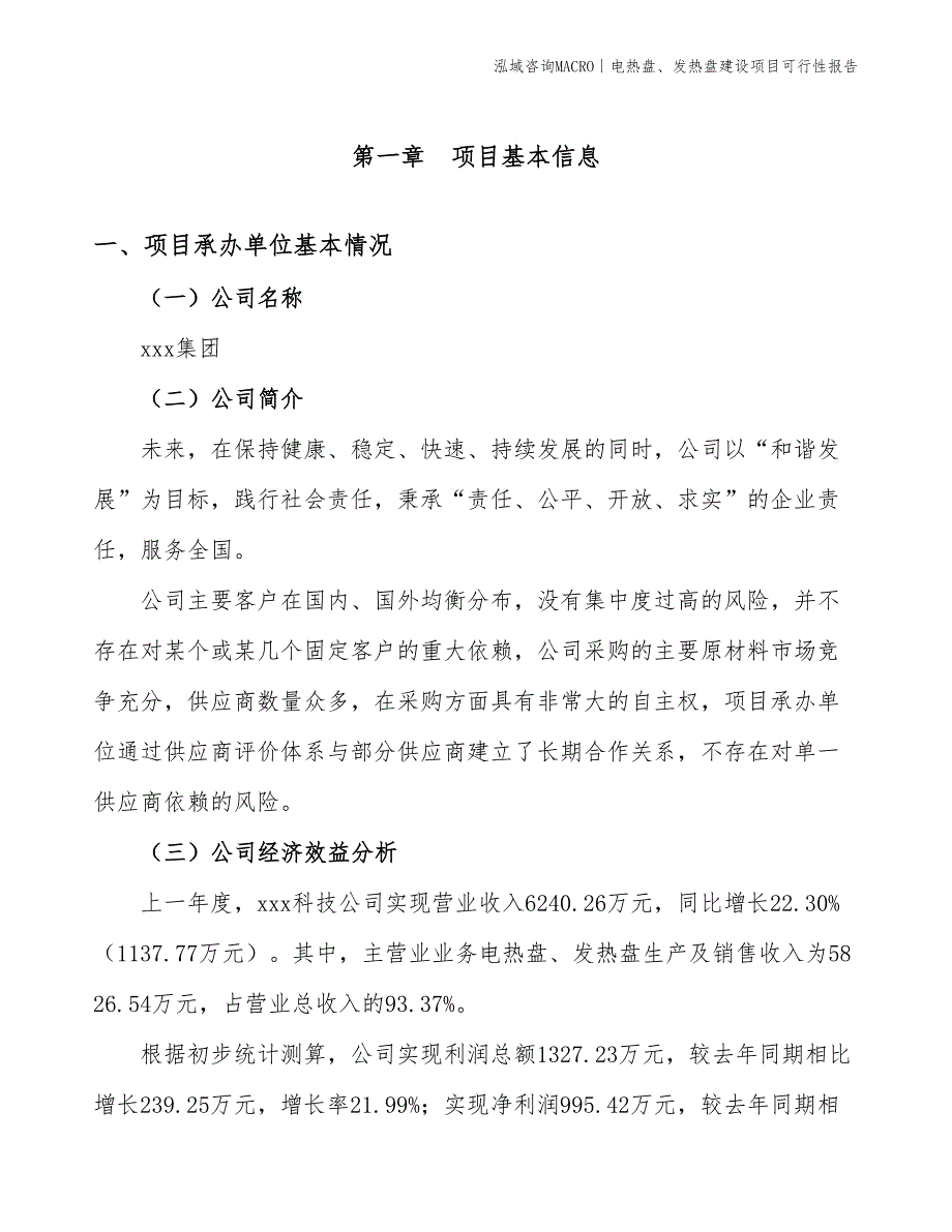 电热盘、发热盘建设项目可行性报告_第3页