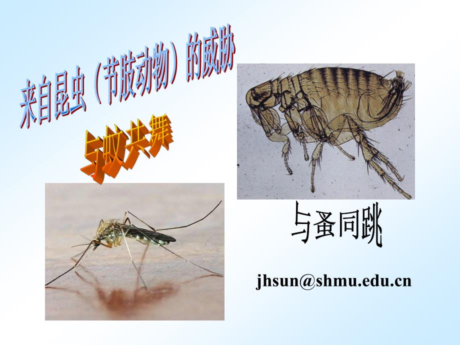 复旦大学精品课程《病原生物与人类》课件 ,来自昆虫_第1页