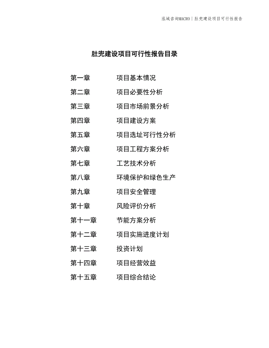 肚兜建设项目可行性报告_第2页