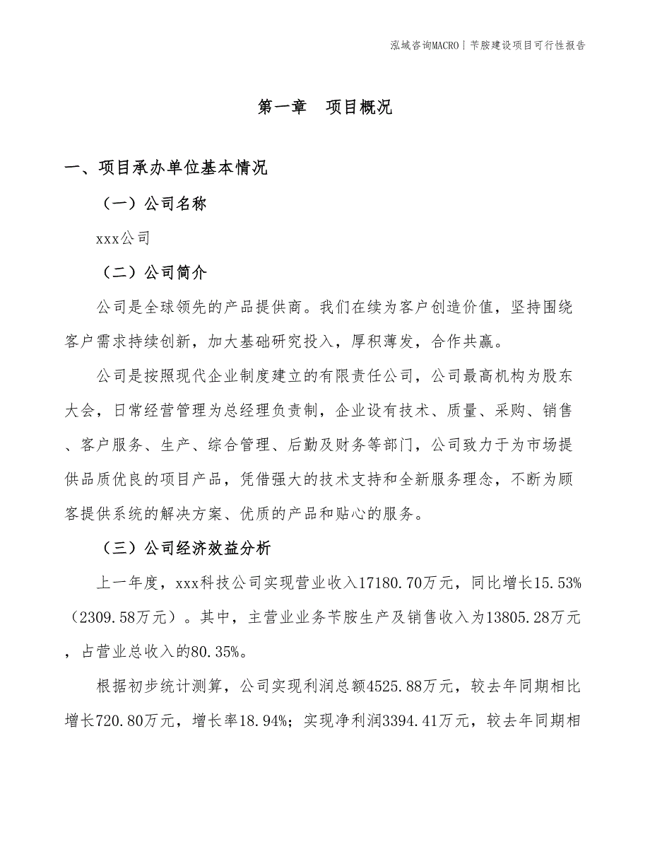 玻璃建设项目可行性报告_第3页