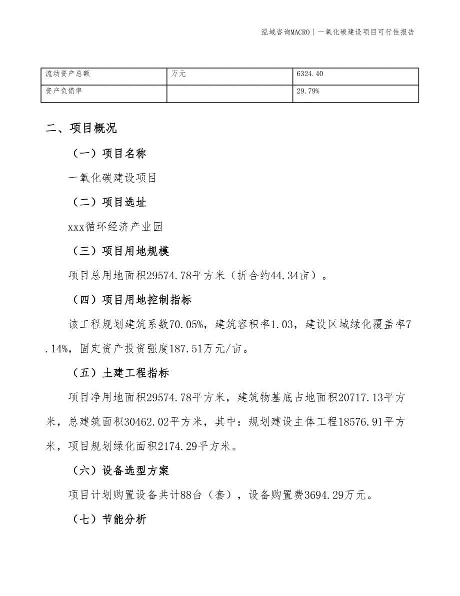 一氧化碳建设项目可行性报告_第5页