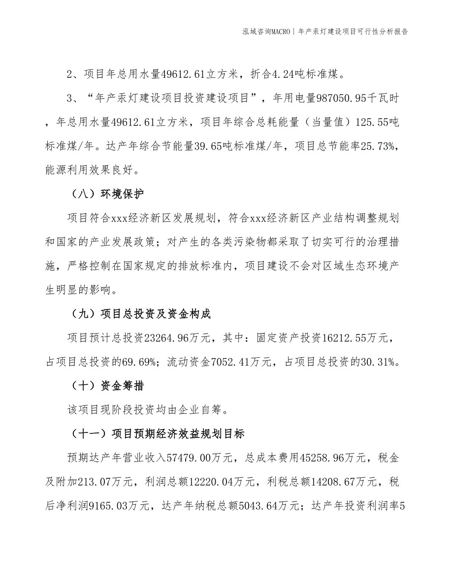 年产汞灯建设项目可行性分析报告_第4页