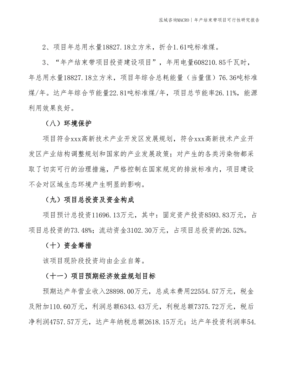 年产束线带项目可行性研究报告_第4页