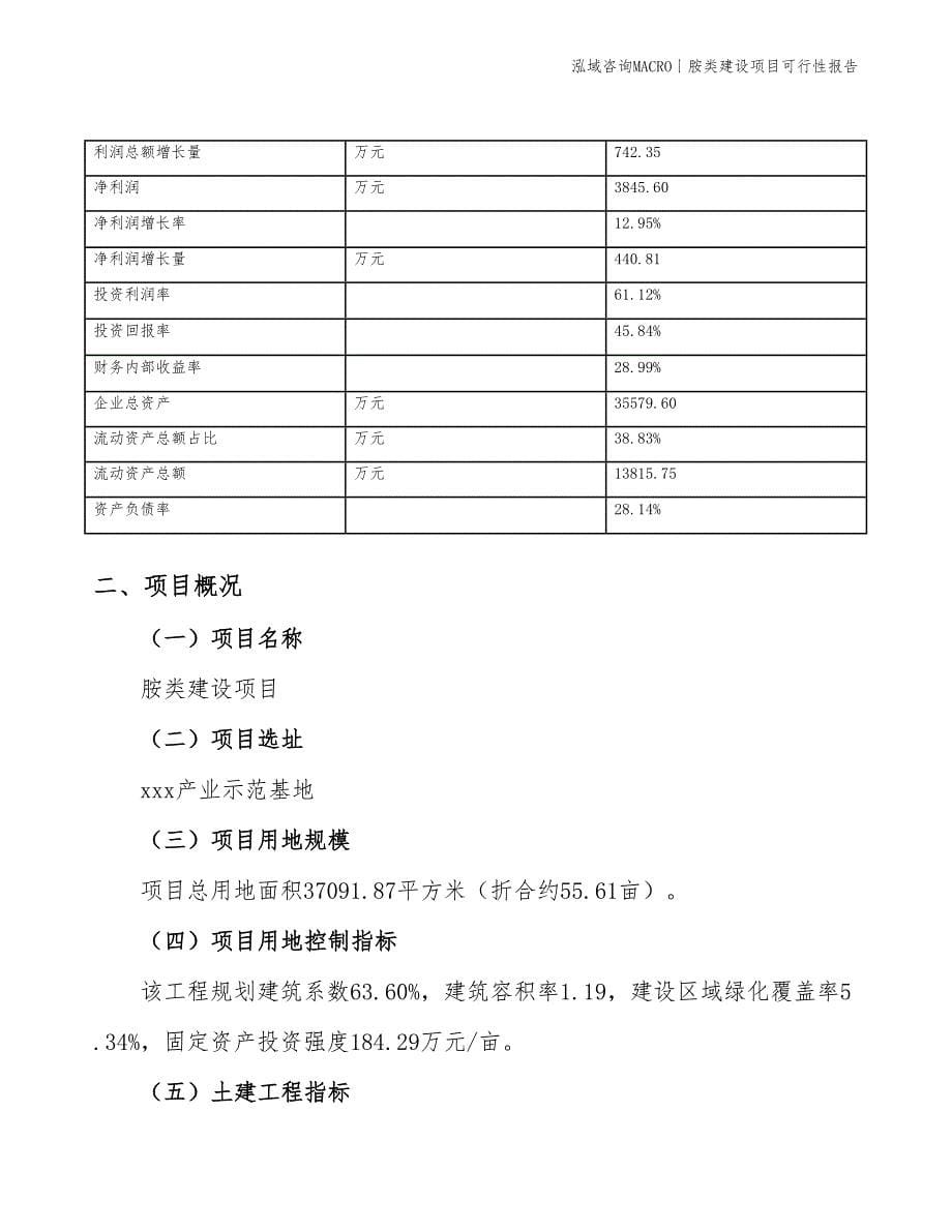 甲胺建设项目可行性报告_第5页