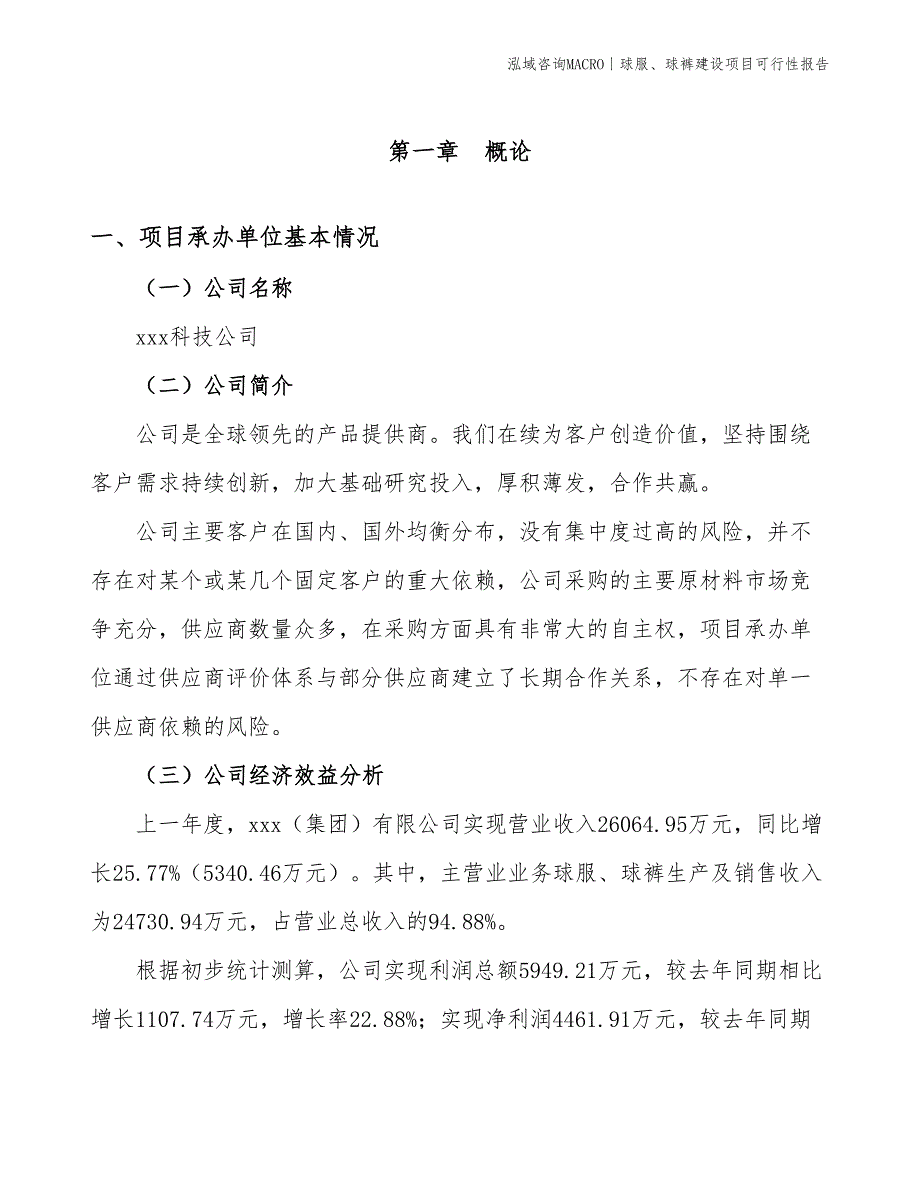 球服、球裤建设项目可行性报告_第3页