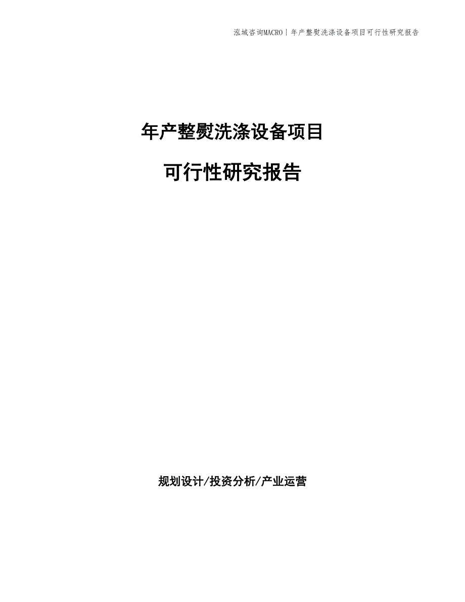 年产整熨洗涤设备项目可行性研究报告_第1页