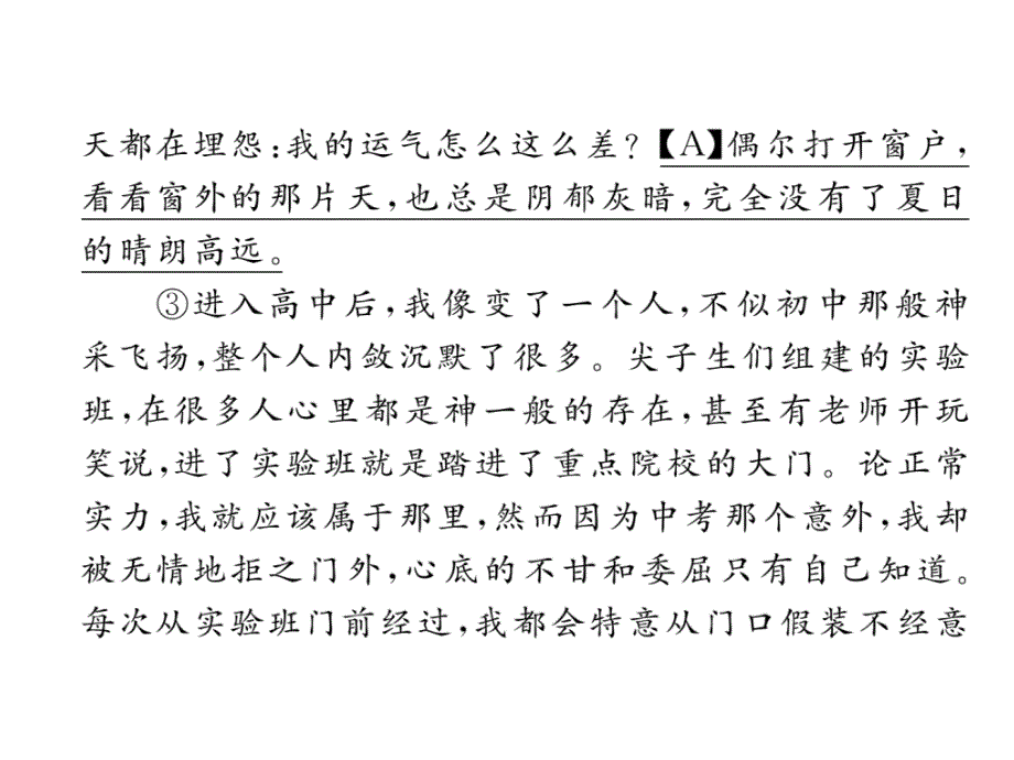 2018年云南中考语文特训复习课件：（4）为梦想拼尽全力_第4页