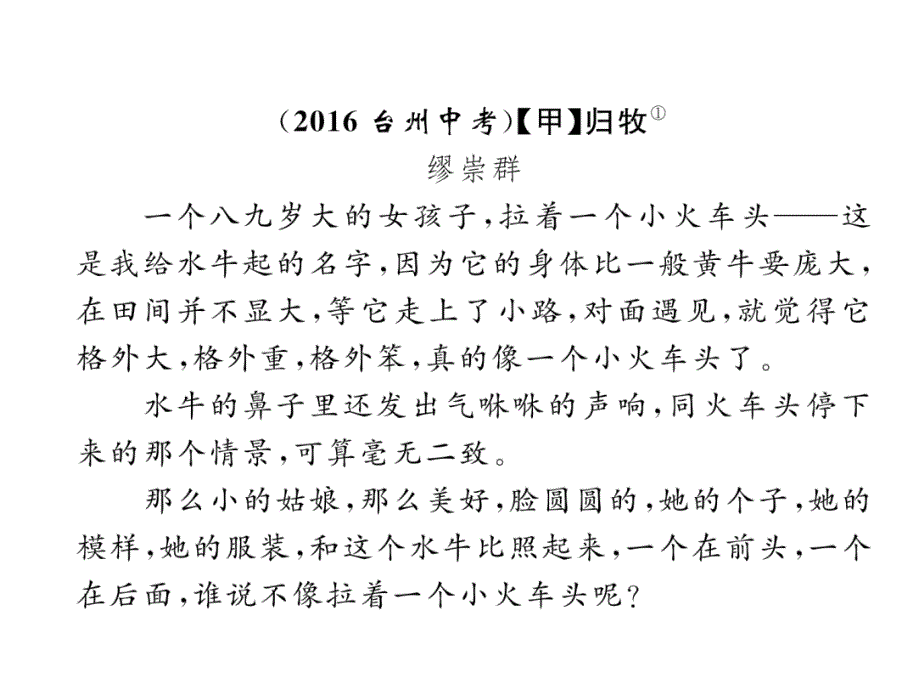 2018年浙江省中考语文复习（课件）：2.考点六 典题精析_第3页
