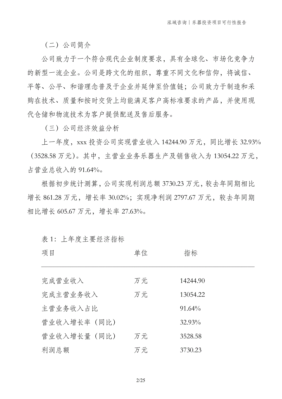 乐器投资项目可行性报告_第2页