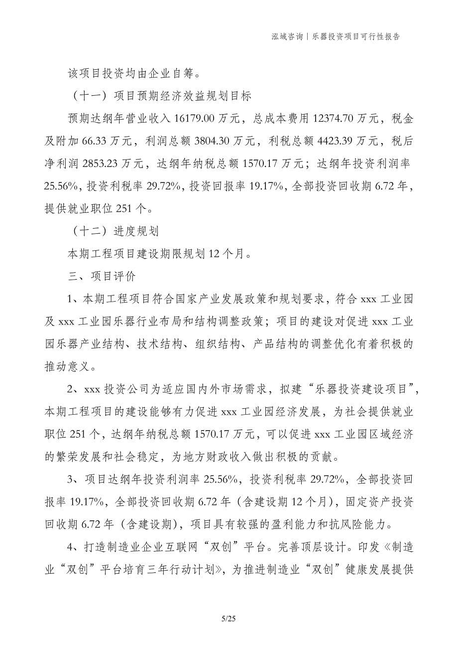 乐器投资项目可行性报告_第5页