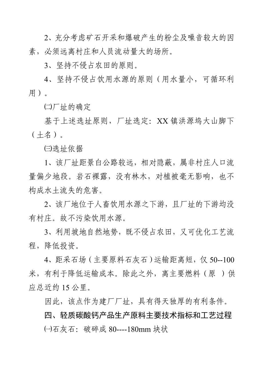 X镇轻质碳酸钙项目可行性研究报告_第5页