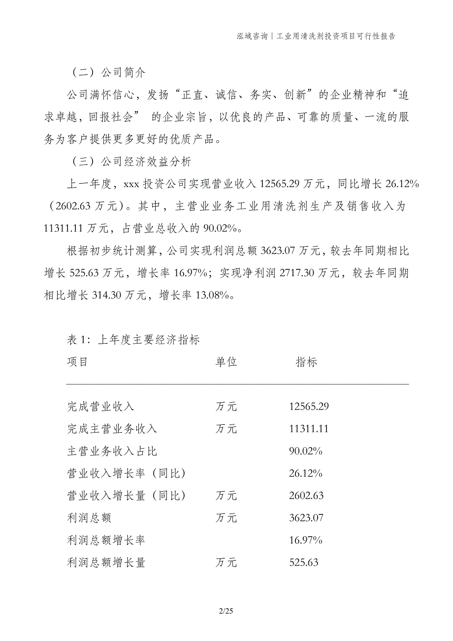 工业用清洗剂投资项目可行性报告_第2页