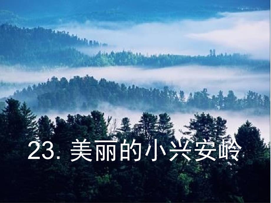 20美丽的小兴安岭1_第1页