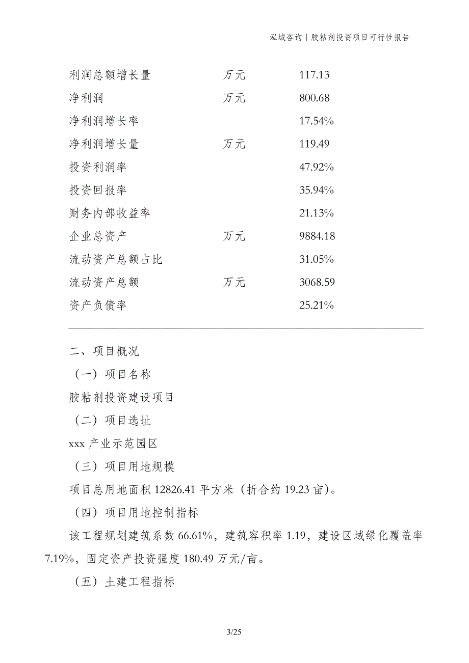 胶粘剂投资项目可行性报告_第3页