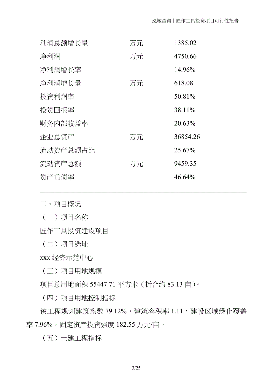 匠作工具投资项目可行性报告_第3页