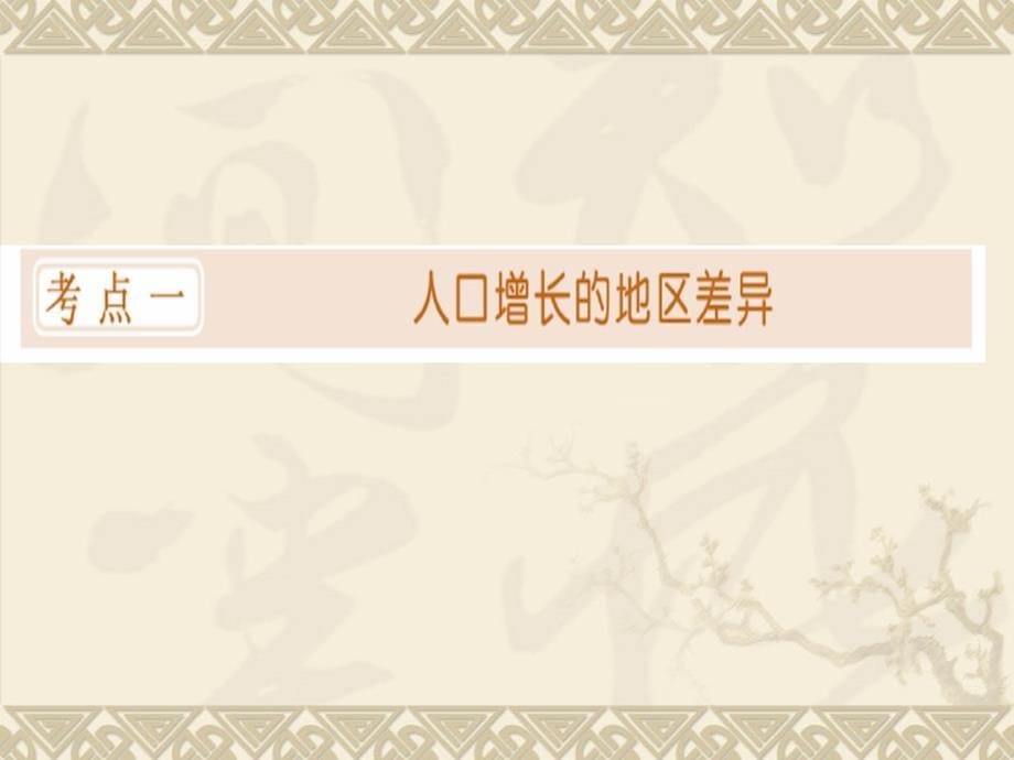 21.【地理】2010高三一轮复习课件十七：1.1人口增长与人口问题_第5页