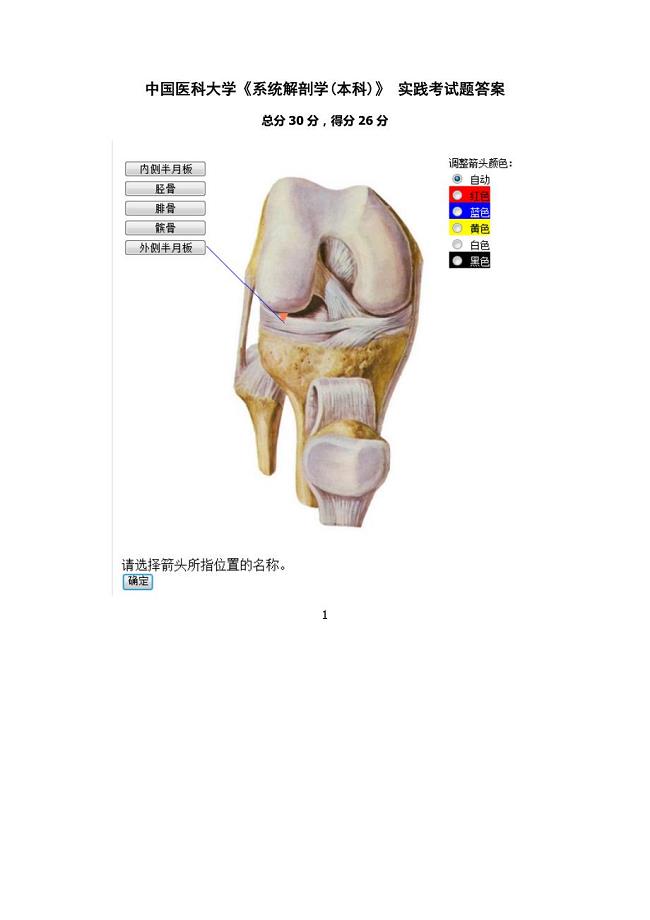 中国医科大学 系统解剖学 -实践考试题