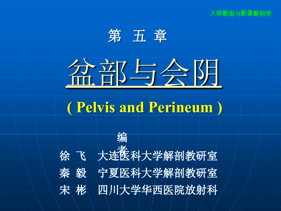 解剖学盆部及会阴_第1页