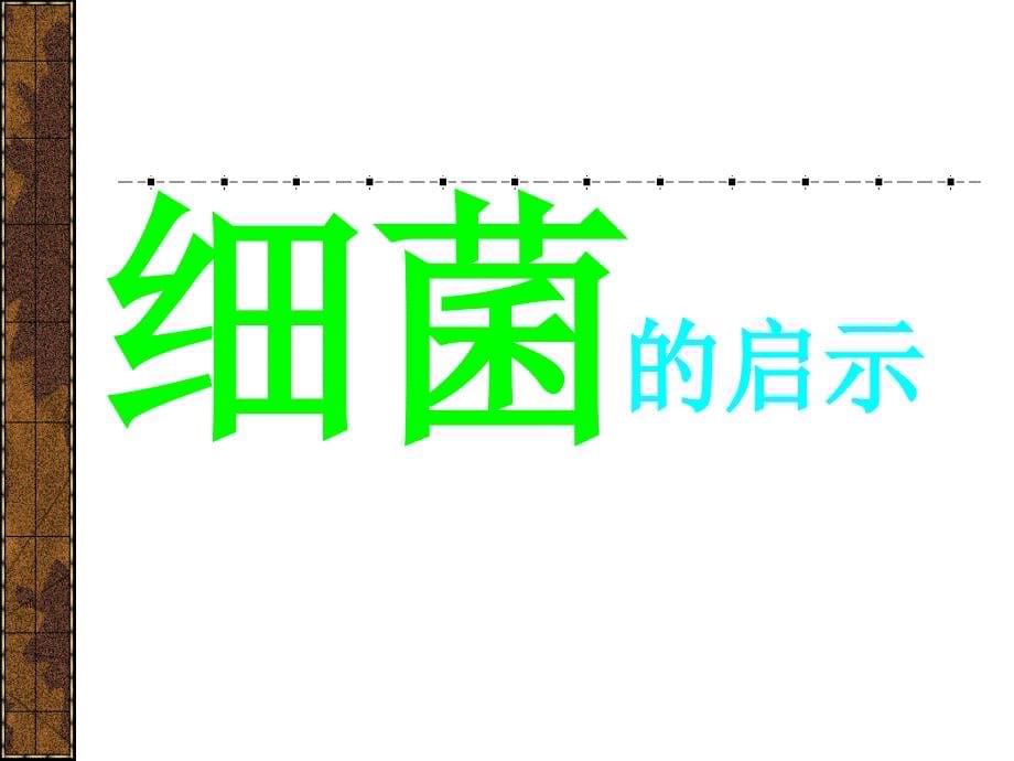 甘肃省临泽县第二中学八年级语文下册课件：细菌的启示2_第5页