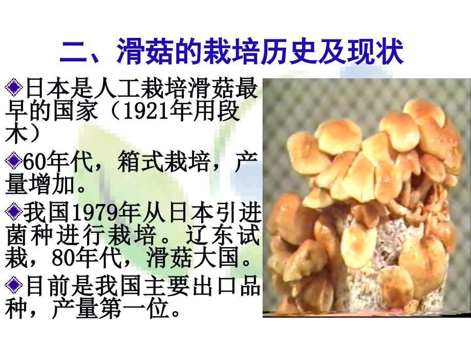 食用菌生产与加工9 滑菇栽培技术_第5页