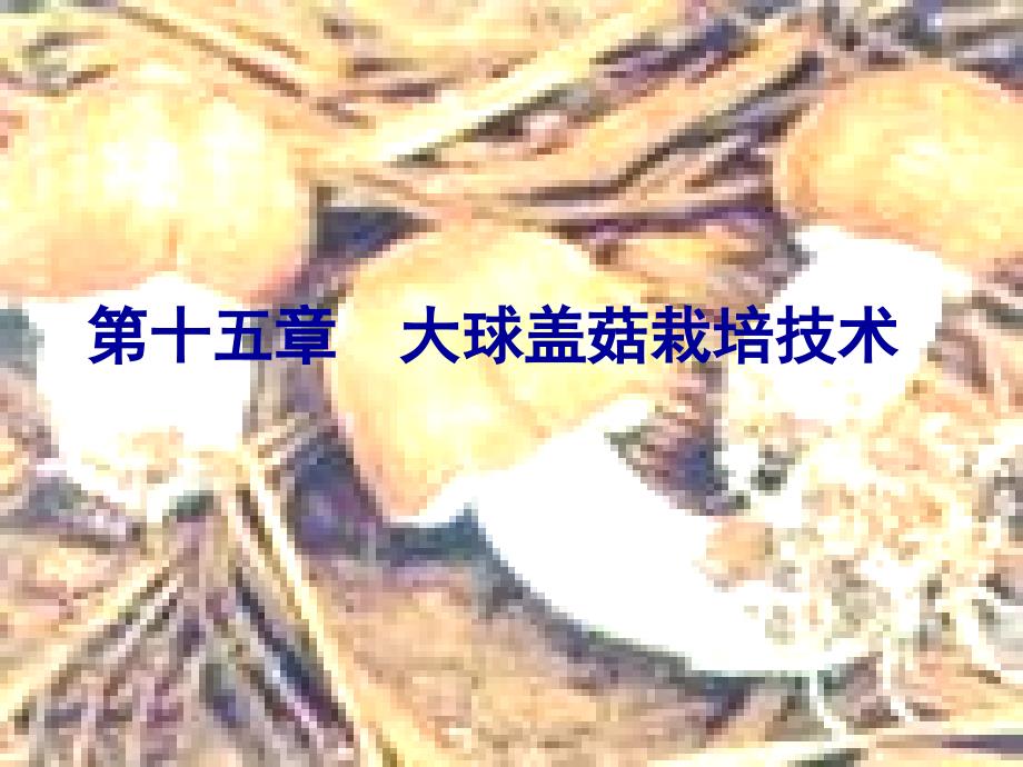 食用菌生产与加工15 大球盖菇栽培技术_第1页
