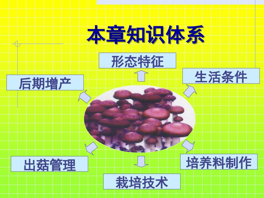 食用菌生产与加工15 大球盖菇栽培技术_第2页