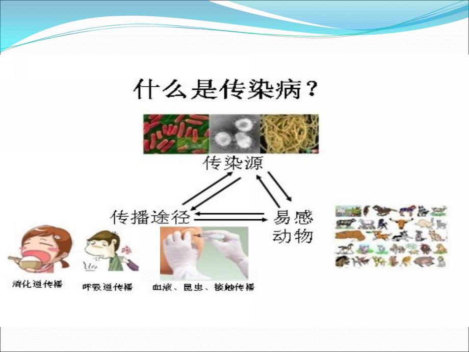 大班-健康：《预防疾病》_第3页