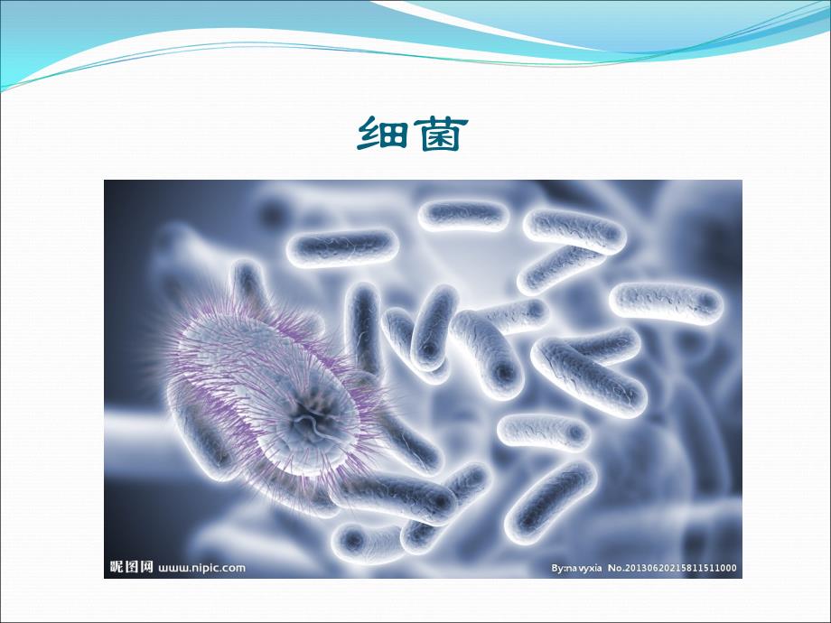 大班-健康：《预防疾病》_第4页