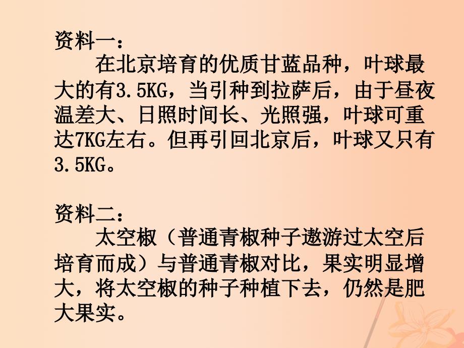 高中生物 第四章 4_4 基因突变和基因重组课件 苏教版必修21_第2页