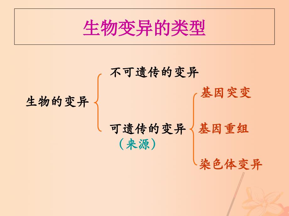 高中生物 第四章 4_4 基因突变和基因重组课件 苏教版必修21_第3页