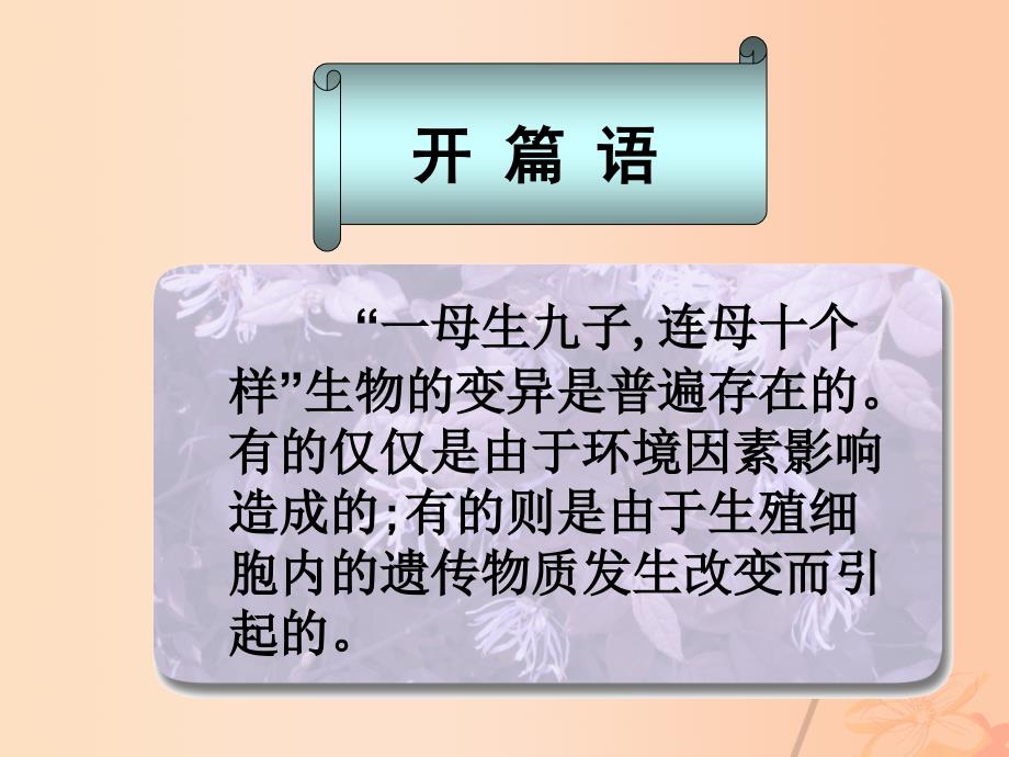 高中生物 第四章 4_4 基因突变和基因重组课件 苏教版必修21_第4页