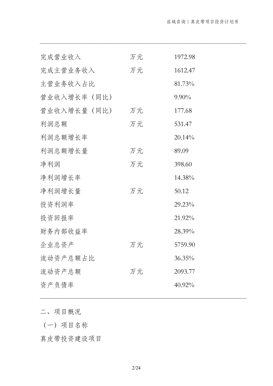 真皮带项目投资计划书_第2页