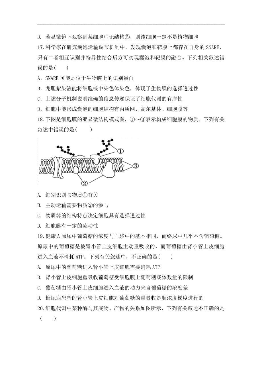 安徽省滁州市定远县育才学校2019届高三上学期期中考试生物试题 word版含答案_第5页