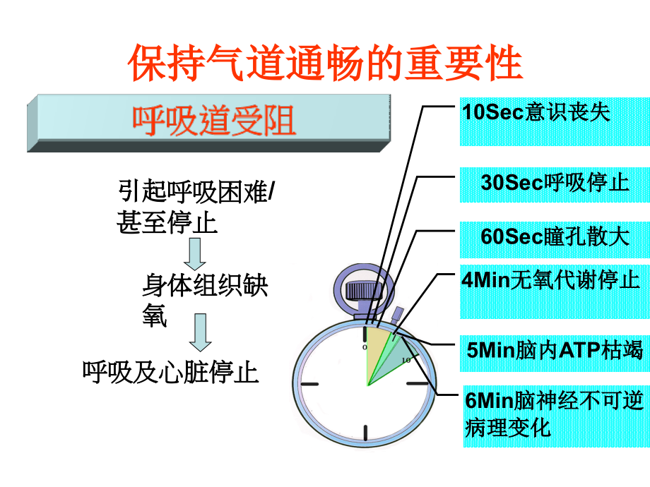 第二章保持气道通畅_第2页