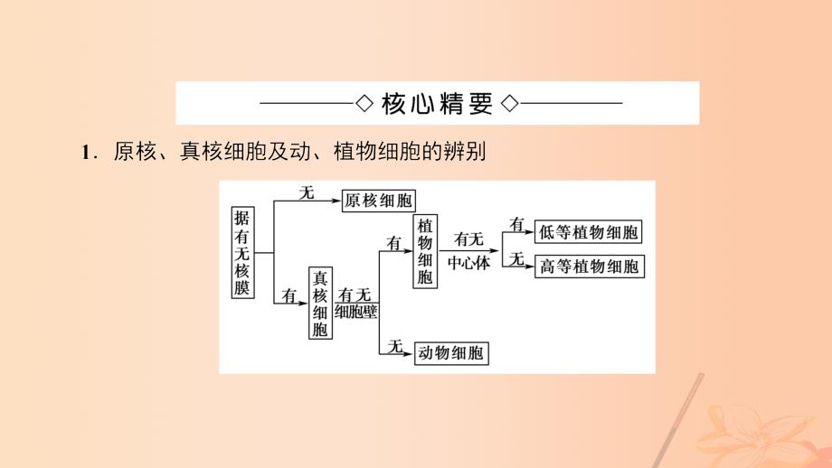 高中生物微专题突破 细胞与细胞器课件 中图版必修_第2页