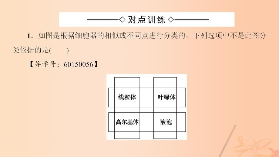 高中生物微专题突破 细胞与细胞器课件 中图版必修_第5页