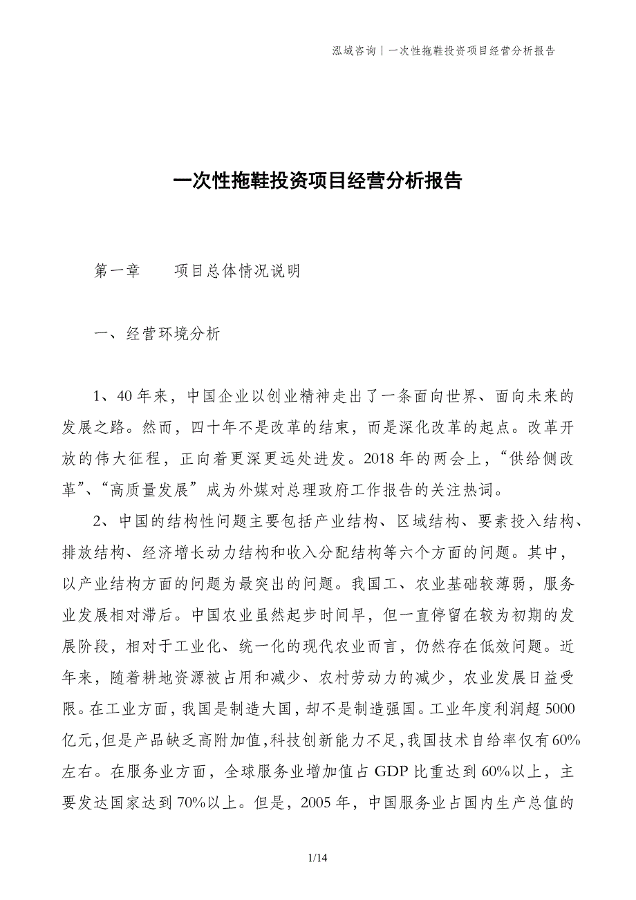 一次性拖鞋投资项目经营分析报告_第1页