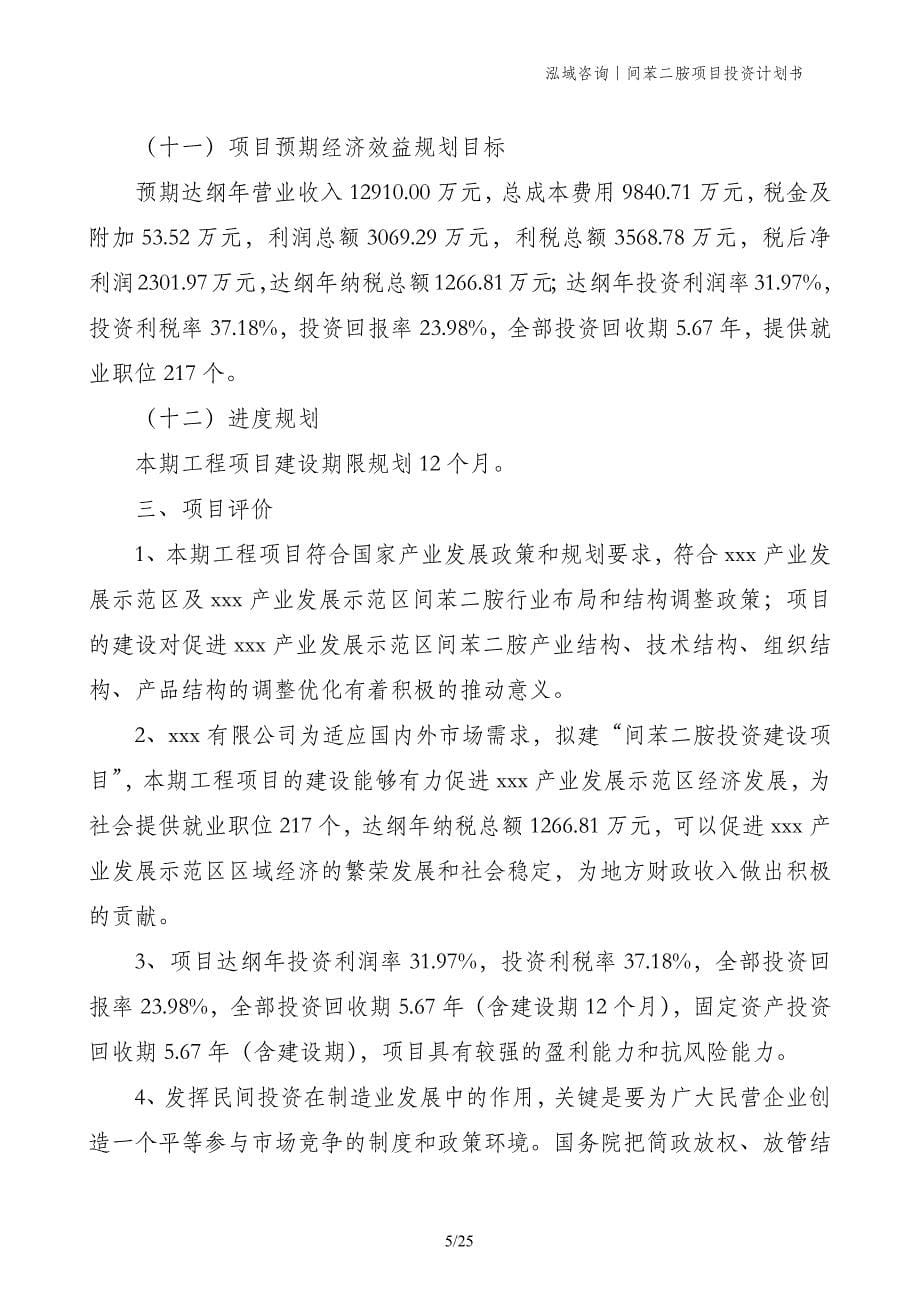 间苯二胺项目投资计划书_第5页