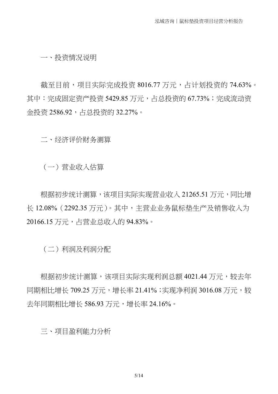 鼠标垫投资项目经营分析报告_第5页