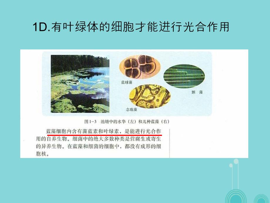 高考生物 一模试卷讲评课件_第3页