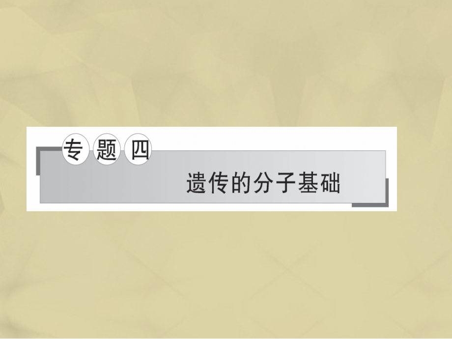 高考生物二轮复习 专题四 遗传的分子基础课件_第1页