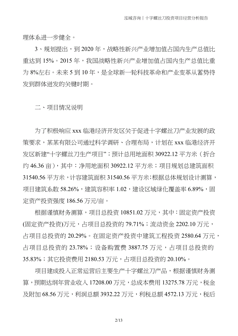 十字螺丝刀投资项目经营分析报告_第2页