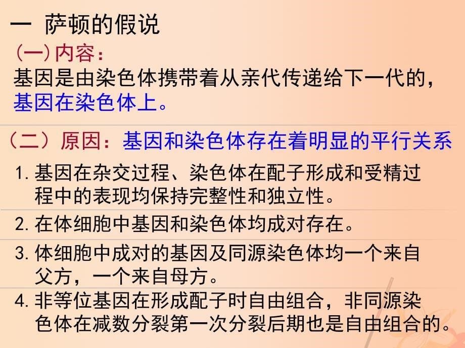 高中生物 2_2 基因在染色体上课件（1）新人教版必修2_第5页