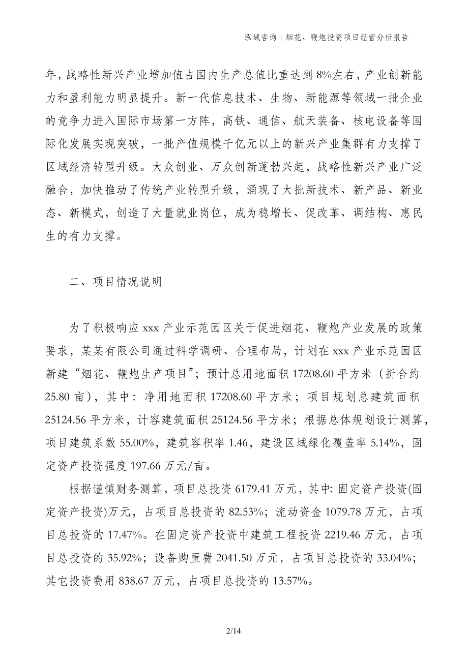 烟花、鞭炮投资项目经营分析报告_第2页