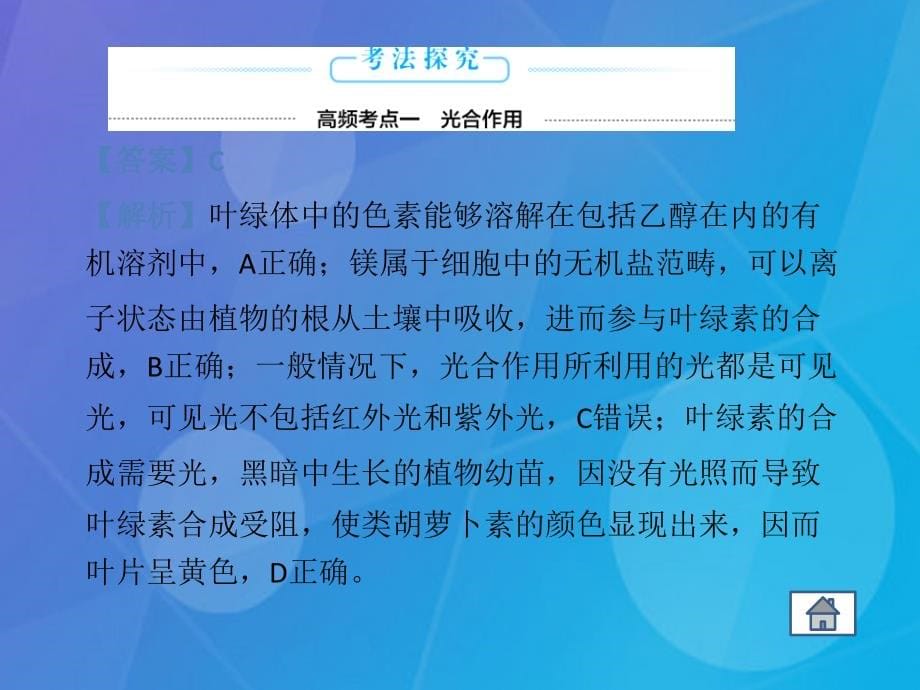 高考生物二轮复习 专题3 光合作用和细胞呼吸课件_第5页