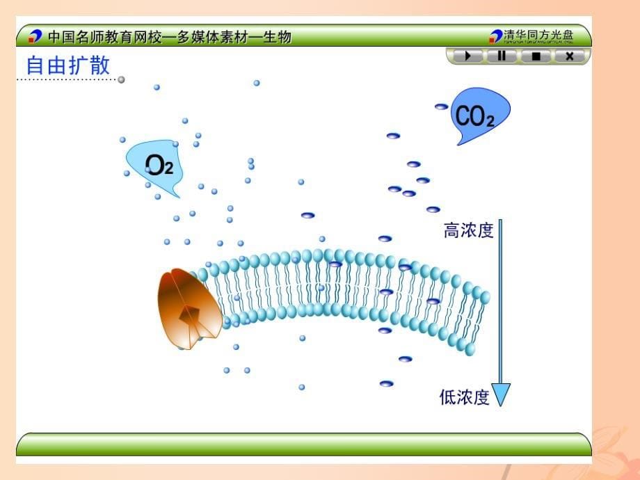 高中生物 4_3 物质跨膜运输的方式 新人教版必修11_第5页