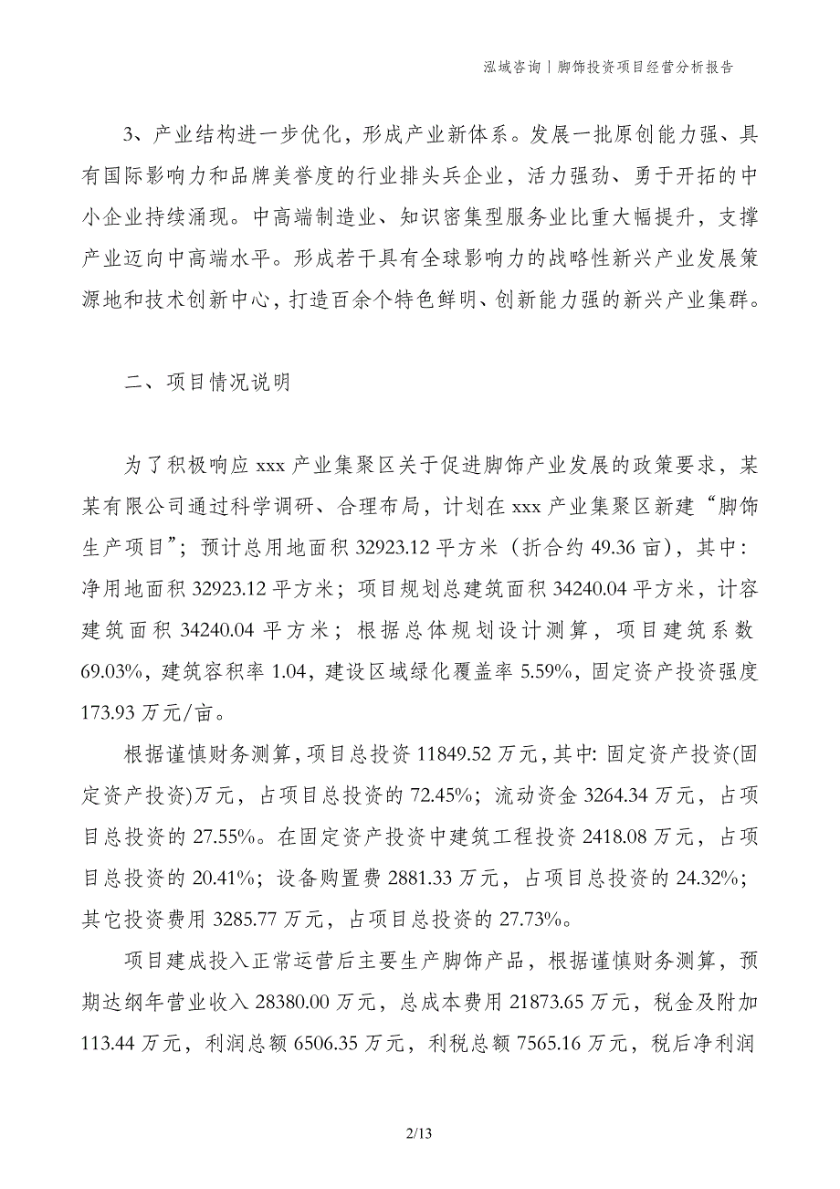 脚饰投资项目经营分析报告_第2页