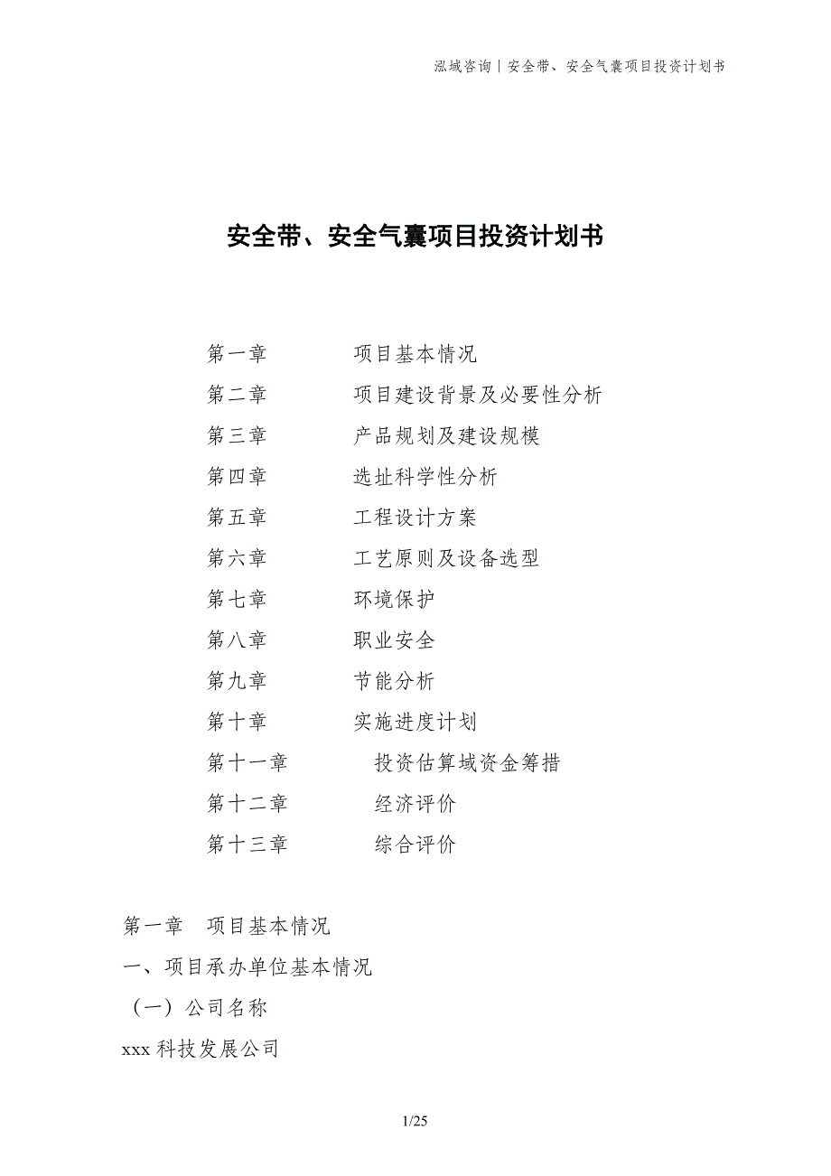 安全带、安全气囊项目投资计划书_第1页